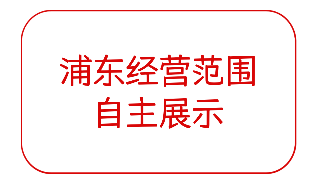 浦东经营范围自主展示